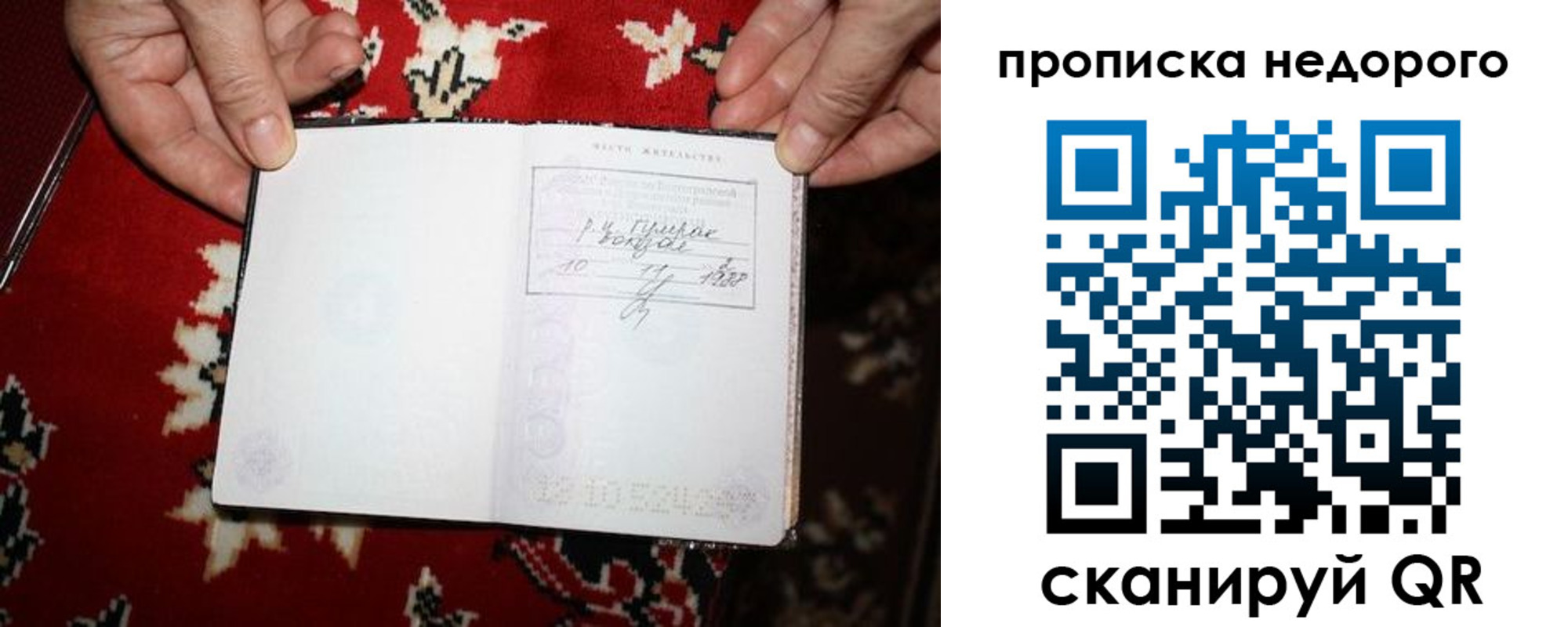 прописка гарантия в Гусеве